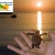 [Image: Test 10.23.12 Q min 30 zcbm Short Name zcbm Alt. Short Namem]